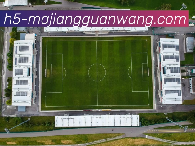 麻将官网发展历程